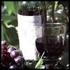 The Wine & Vine Box