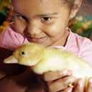 Meet the animals at White Post Farm