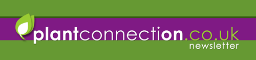 http://www.plantconnection.co.uk